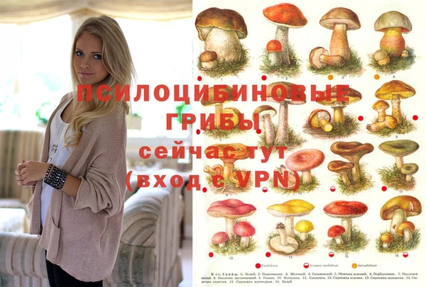 тгк Абдулино