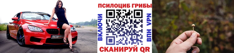 гидра tor  Карталы  Псилоцибиновые грибы Cubensis 